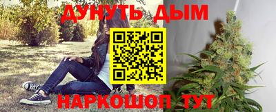 прущие крисы Новозыбков