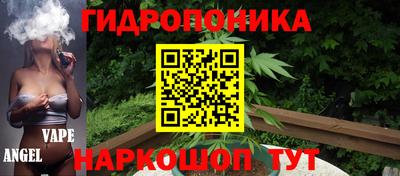 прущие крисы Новозыбков