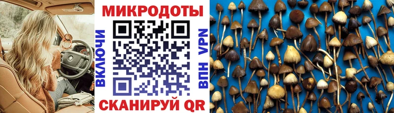 даркнет сайт  Сунжа  Псилоцибиновые грибы Psilocybe 